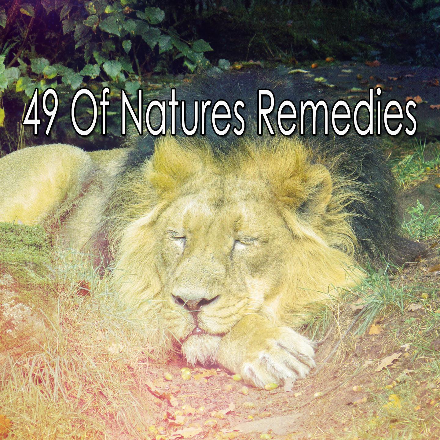 49 Of Natures Remedies专辑