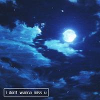 I Don't Wanna Miss a Thing （原版立体声带和声）