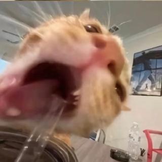 这个世界充满假象 唯有痛苦从不说谎