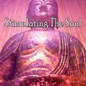 Stimulating The Soul专辑