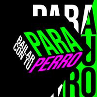 Paulina Rubio - Perros (karaoke)