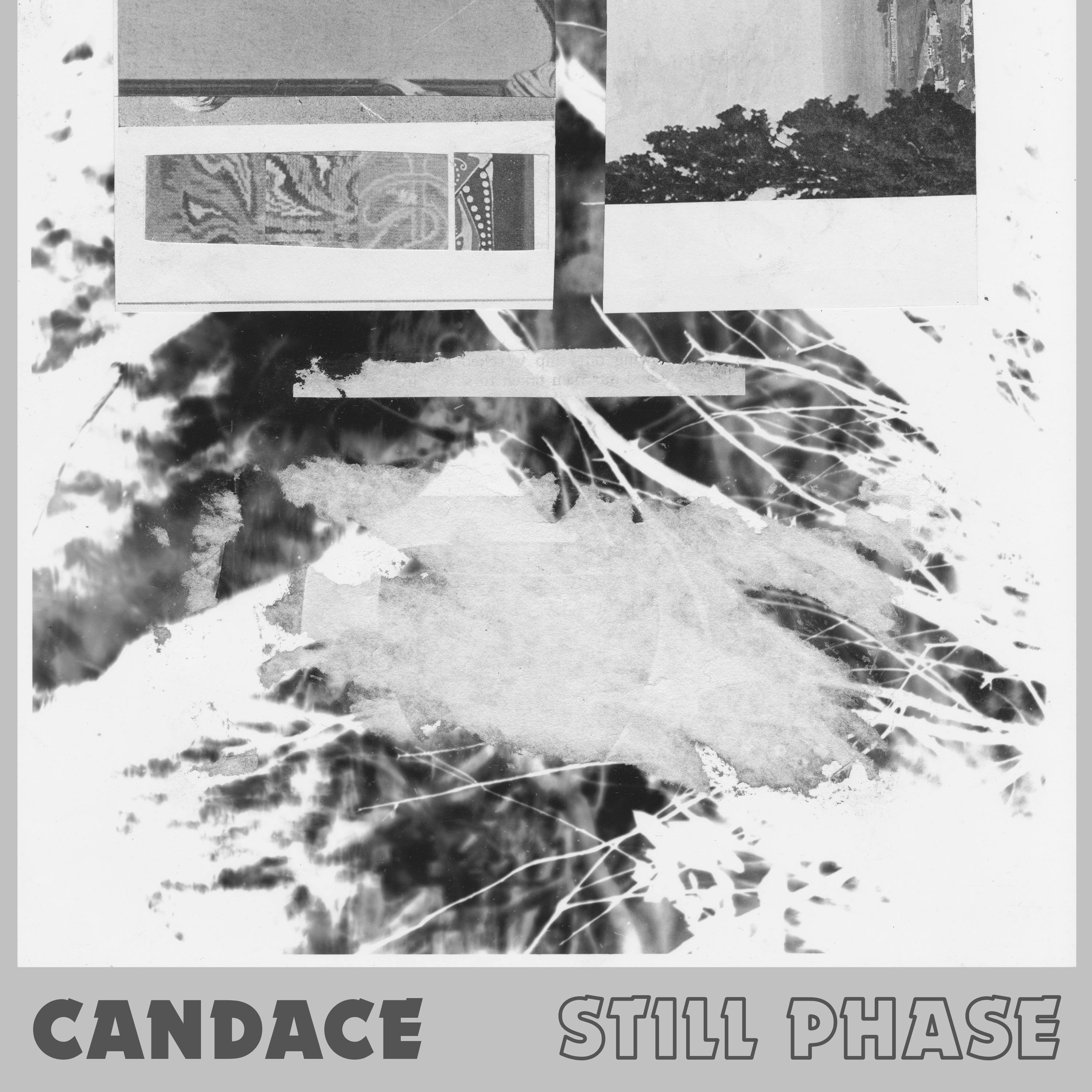Still Phase