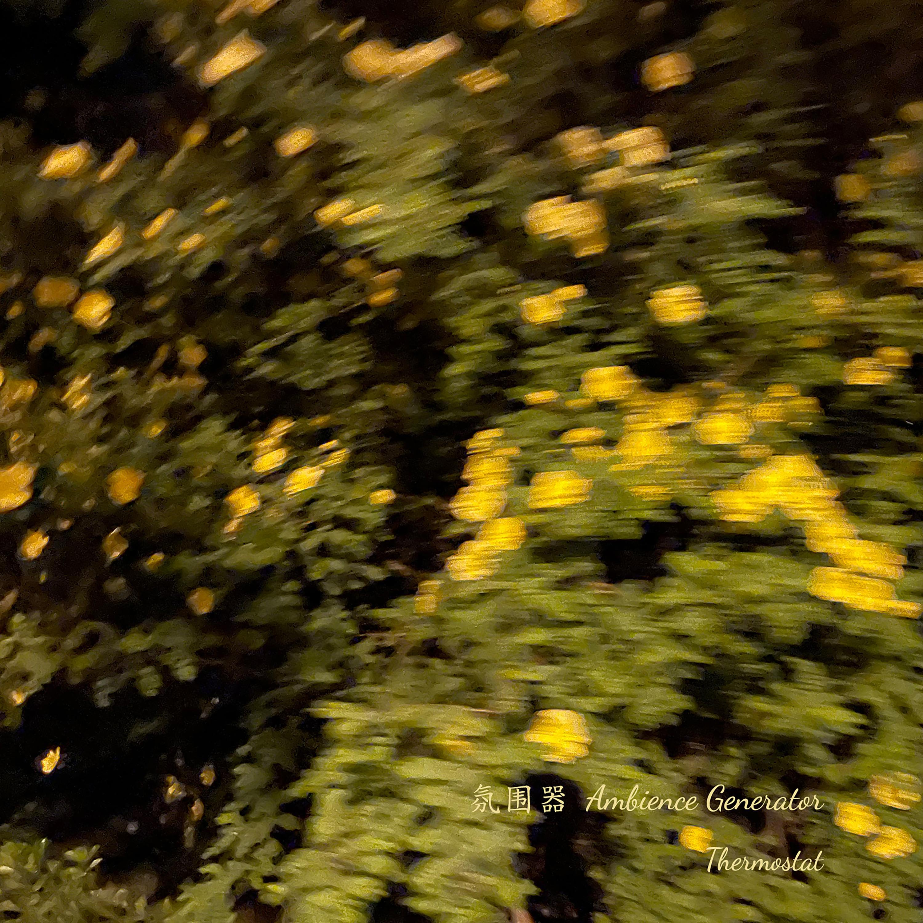 36 minutes girl (36分钟的女孩)