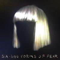 Sia - Eye Of The Needle (KV Instrumental) 无和声伴奏