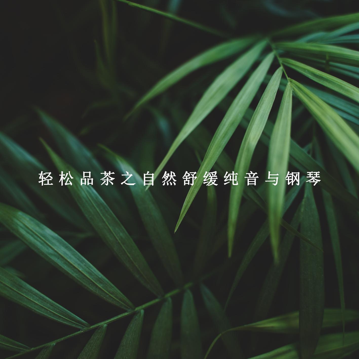 轻松旋律歌曲封面