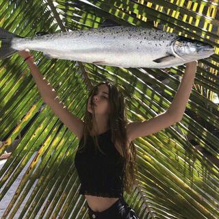 与海风一同遨游于tropical的热潮之中