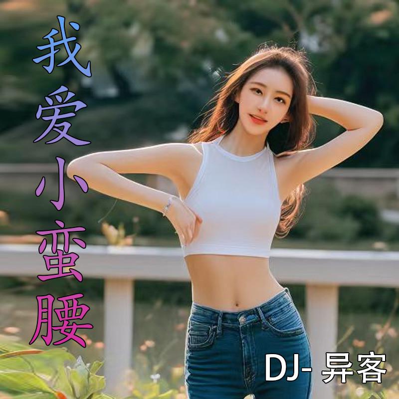 DJ异客 - 我爱小蛮腰