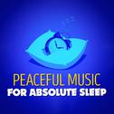 Peaceful Music for Absolute Sleep专辑