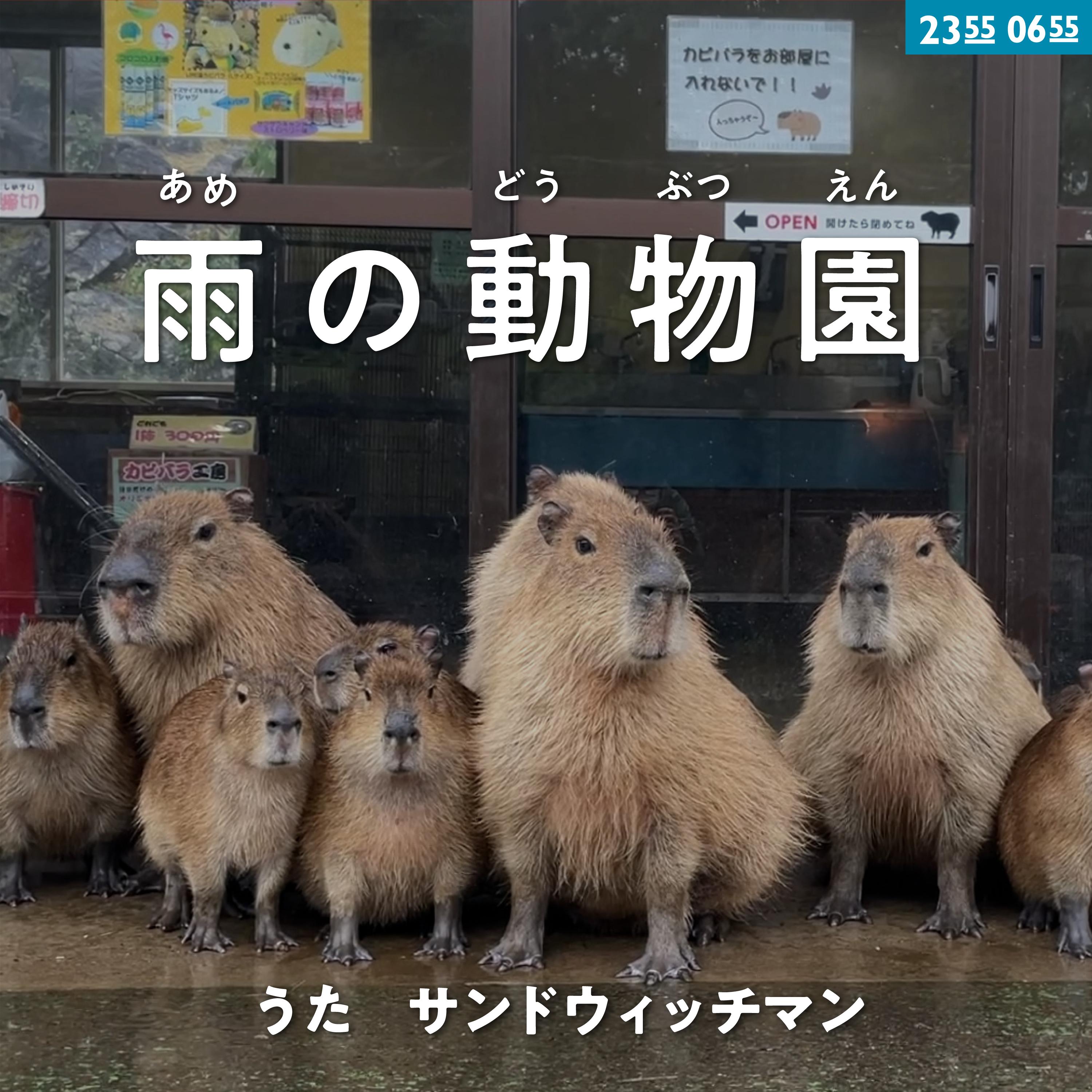雨の動物園 (Eテレ 0655/2355)