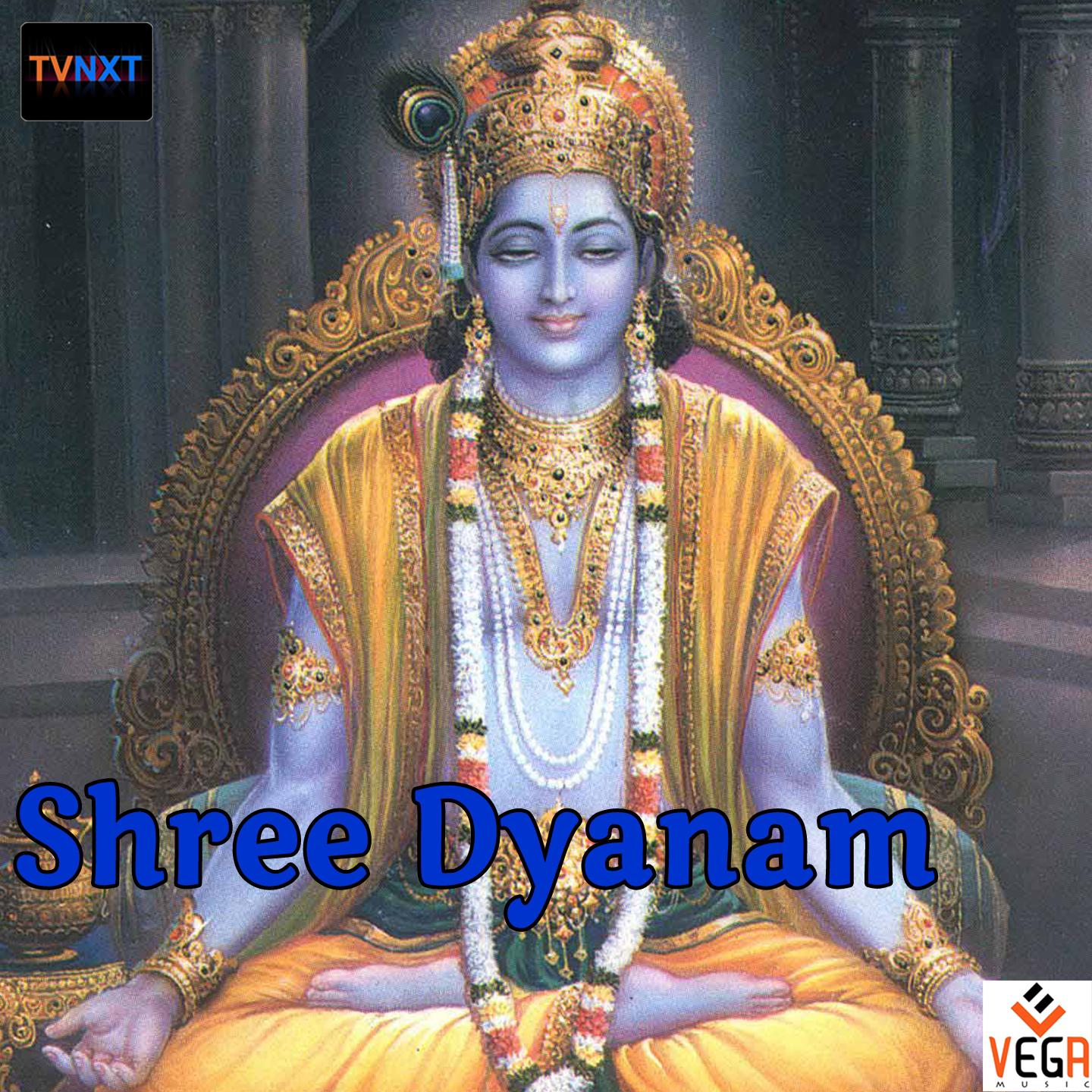 Shree Dyanam专辑