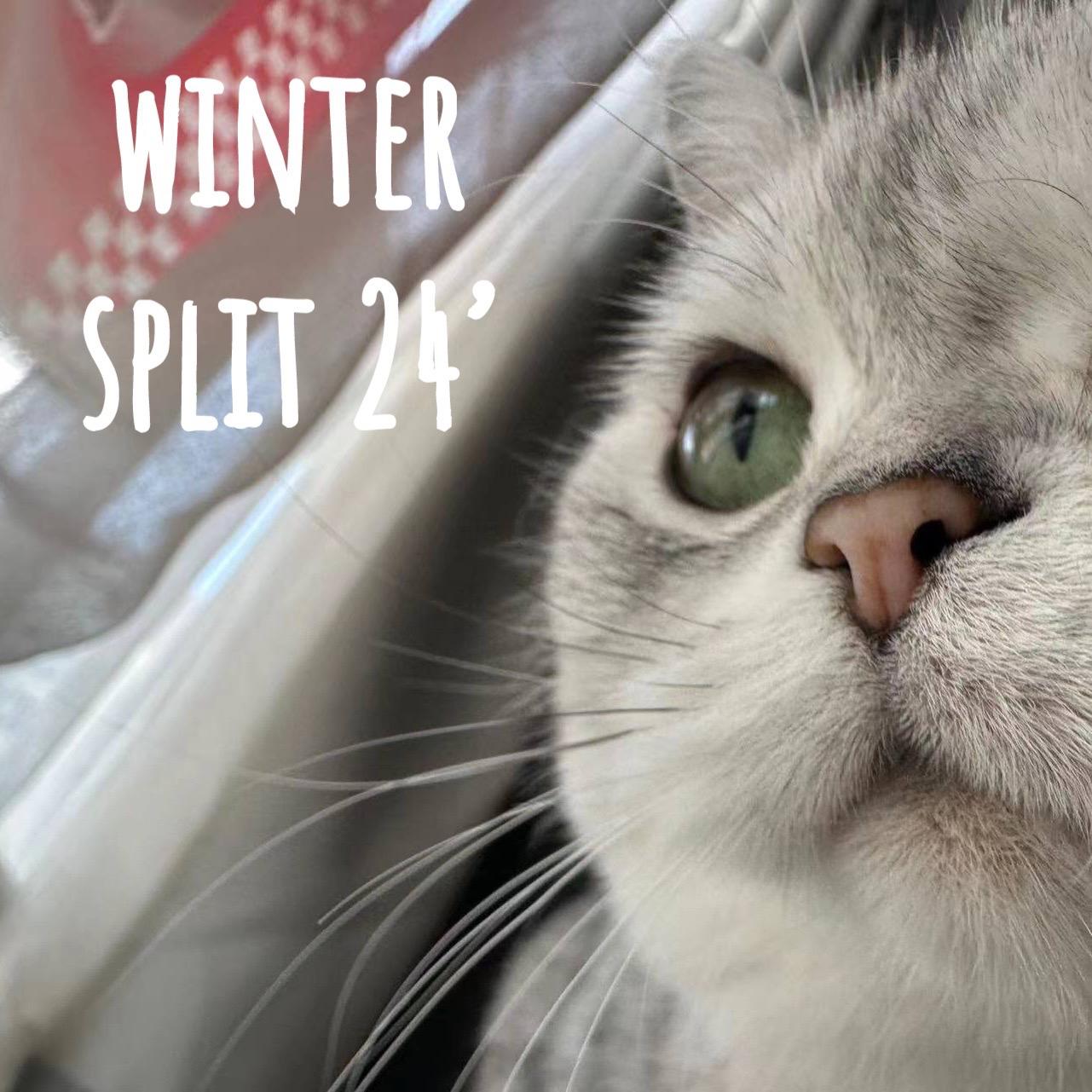 rainy night apartment