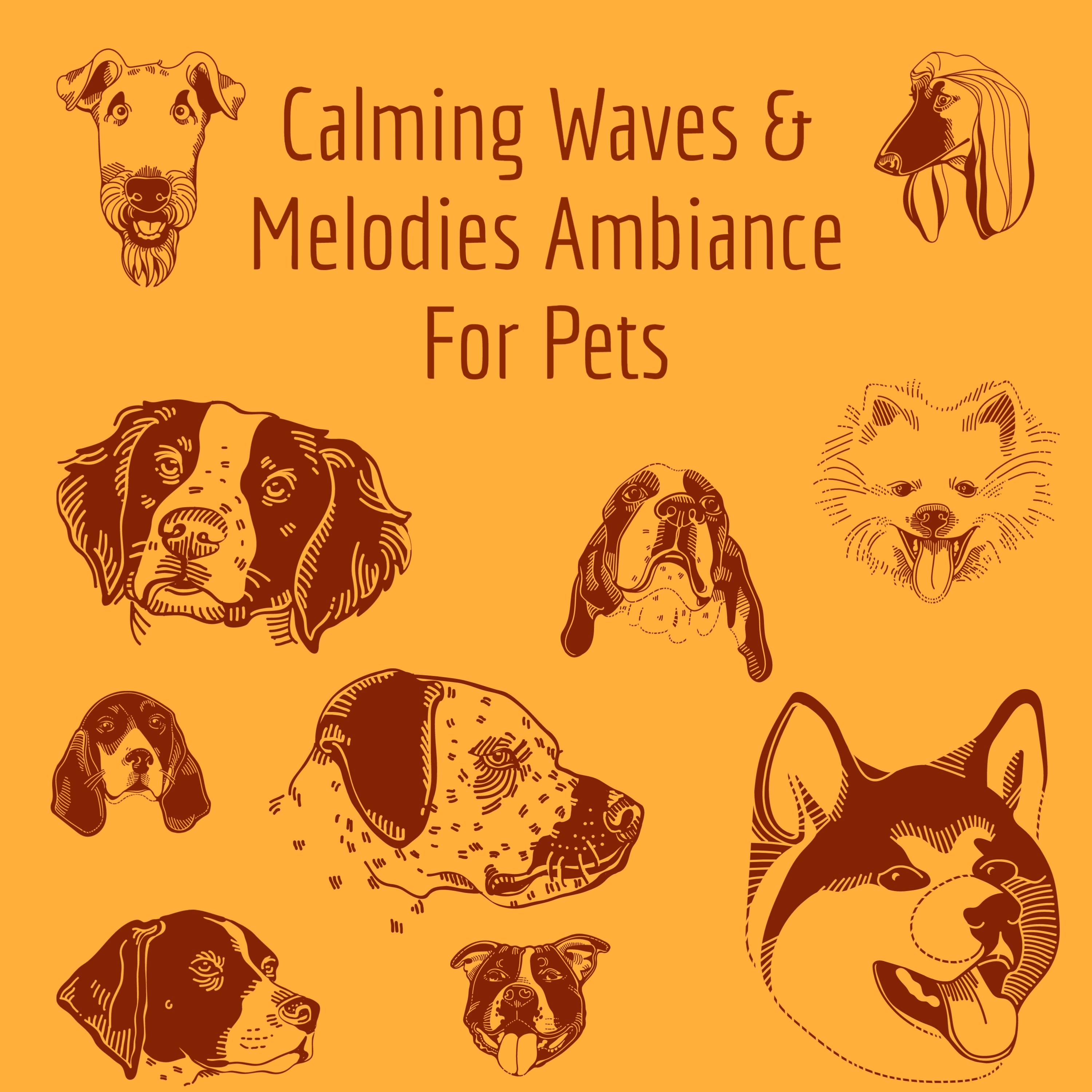 Calming Waves & Melodies Ambiance For Pets