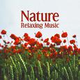 Nature Relaxing Music – Nature Sounds to Relax, Mind Rest with New Age Music, Sweet Memories