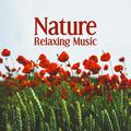 Nature Relaxing Music – Nature Sounds to Relax, Mind Rest with New Age Music, Sweet Memories