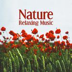 Nature Relaxing Music – Nature Sounds to Relax, Mind Rest with New Age Music, Sweet Memories专辑