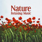 Nature Relaxing Music – Nature Sounds to Relax, Mind Rest with New Age Music, Sweet Memories