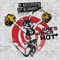 She&#39;s Kinda Hot-5 Seconds of Summer伴奏