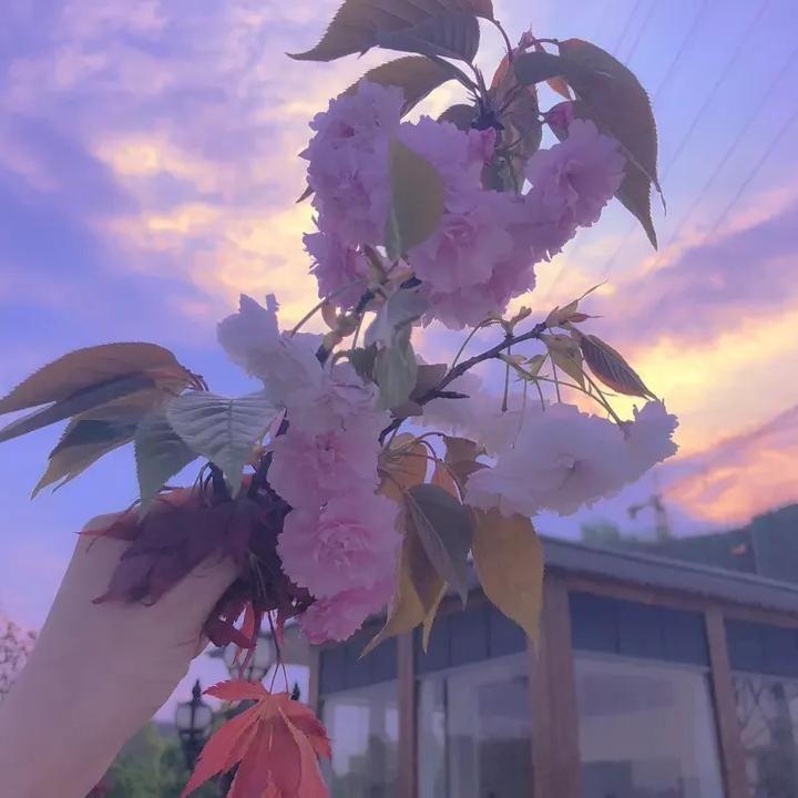 世界是个动物园3