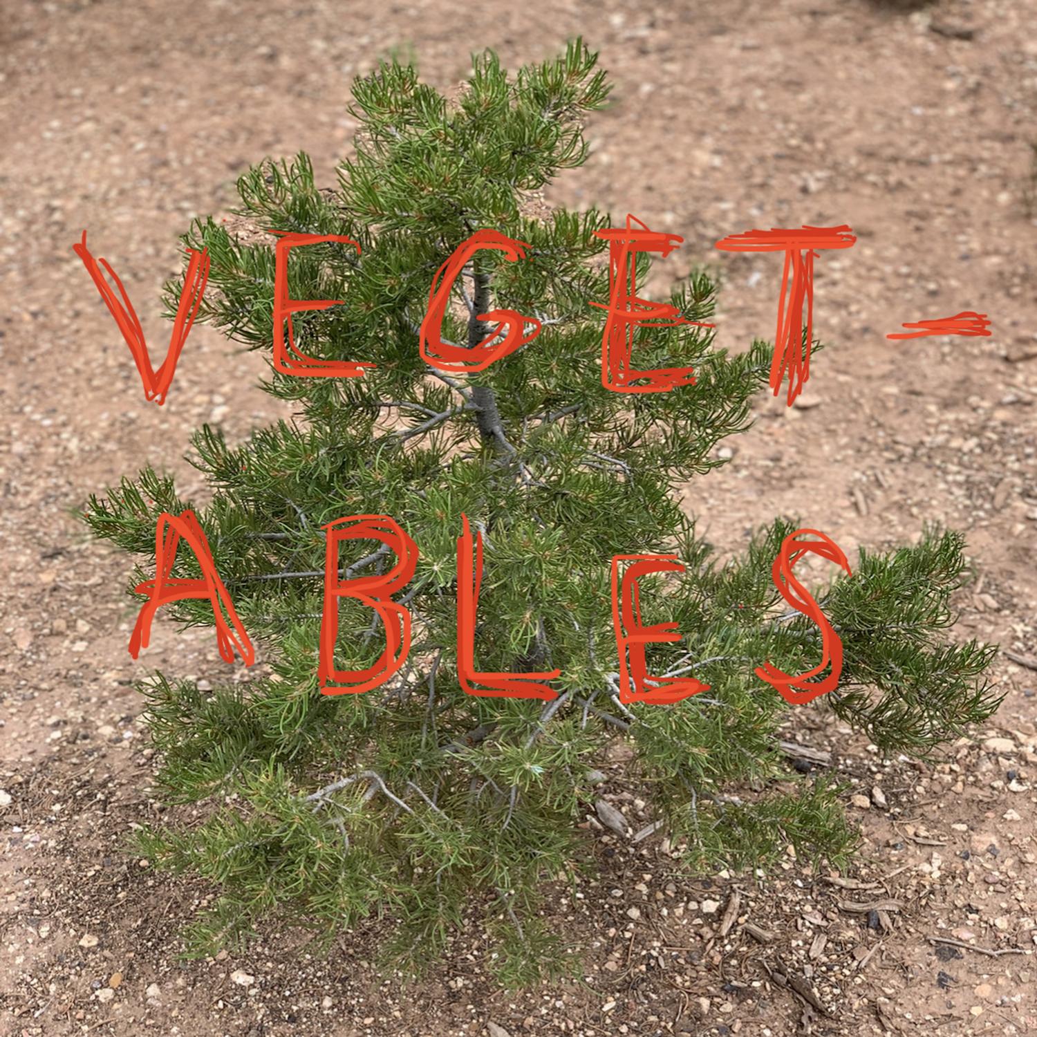 Vegetables