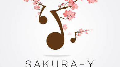 Sakura.Y