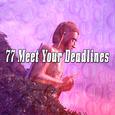 77 Meet Your Deadlines