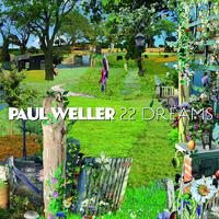Have You Made up Your Mind - Paul Weller (Karaoke)