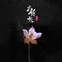 庄东茹(豆芽鱼) - 木兰花(纯伴奏)