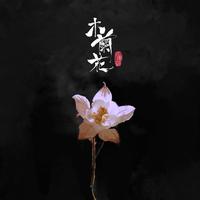 庄东茹（豆芽鱼） - 木兰花（纯伴奏）