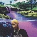 Comethazine type beat（prod.$fReemAN)专辑