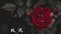 玫瑰专辑