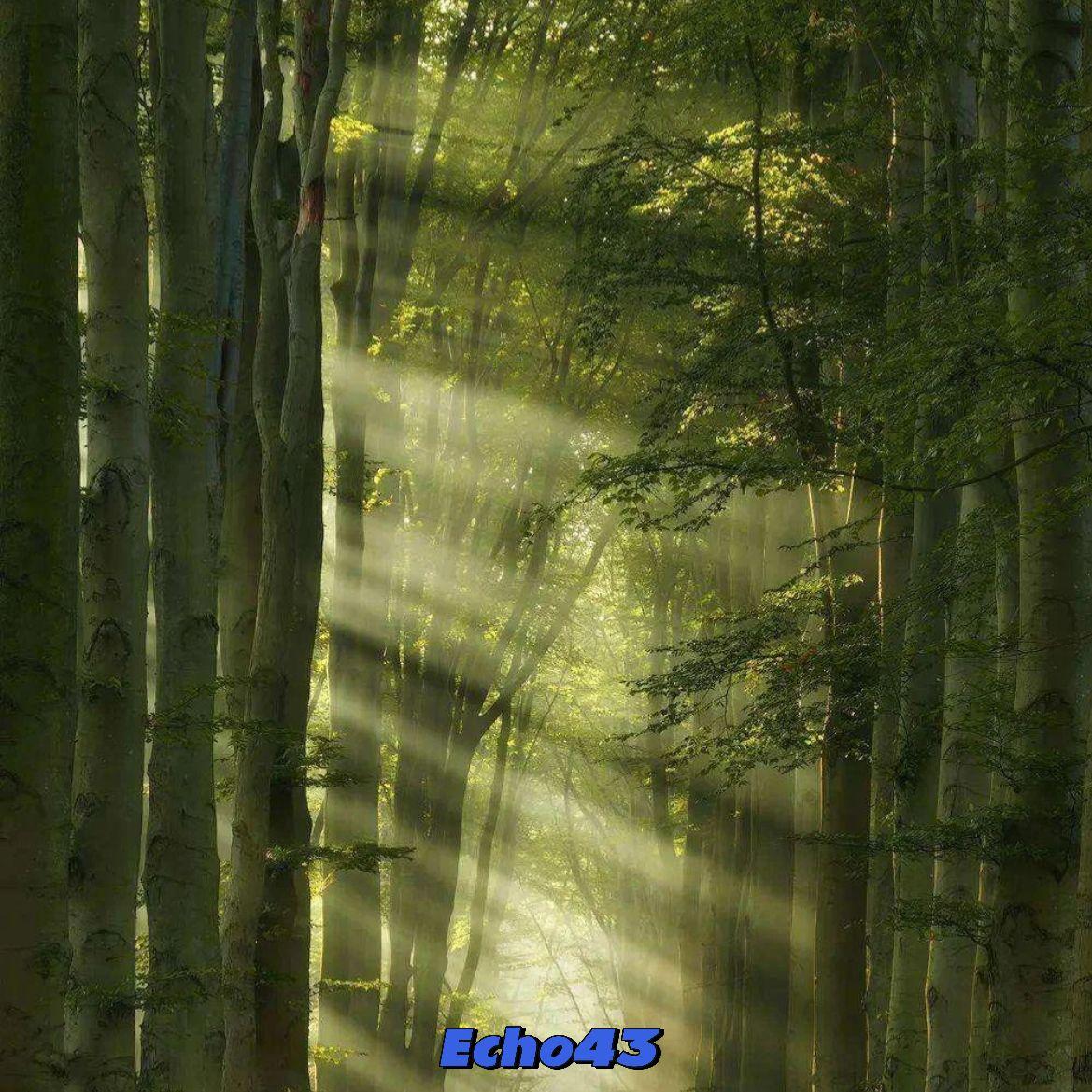 Free“归客” Gunna×中国风 Type Beat