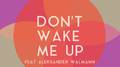 Don't Wake Me Up专辑