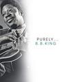 Purely B.B King