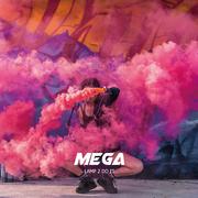 Mega（特步版）