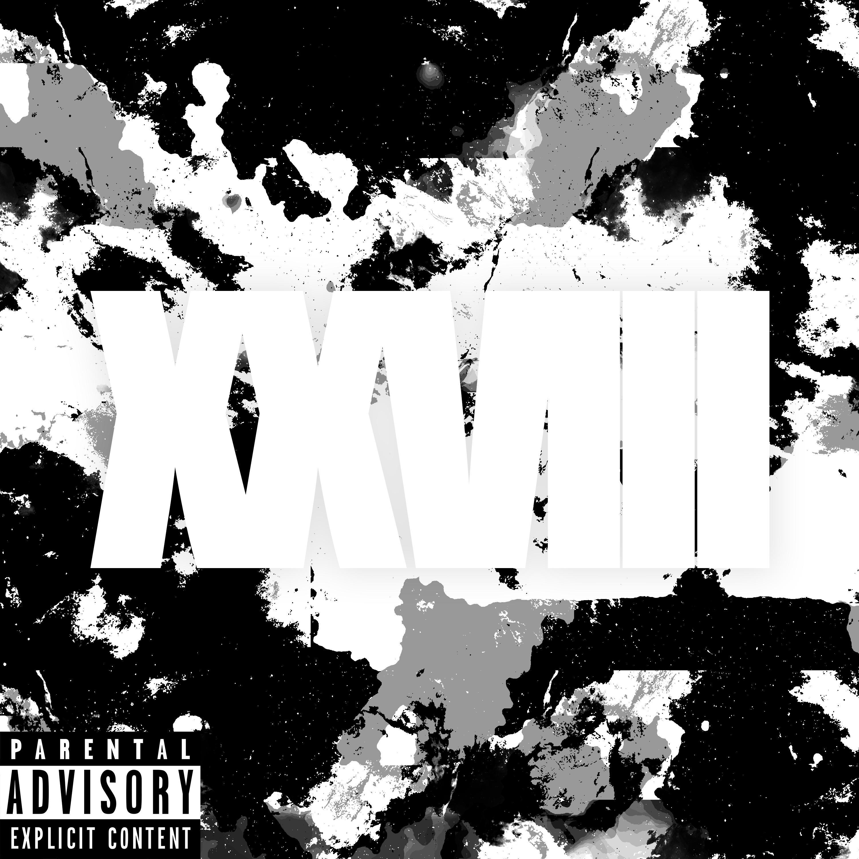 XXVIII