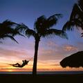 TROPICAL HOUSE