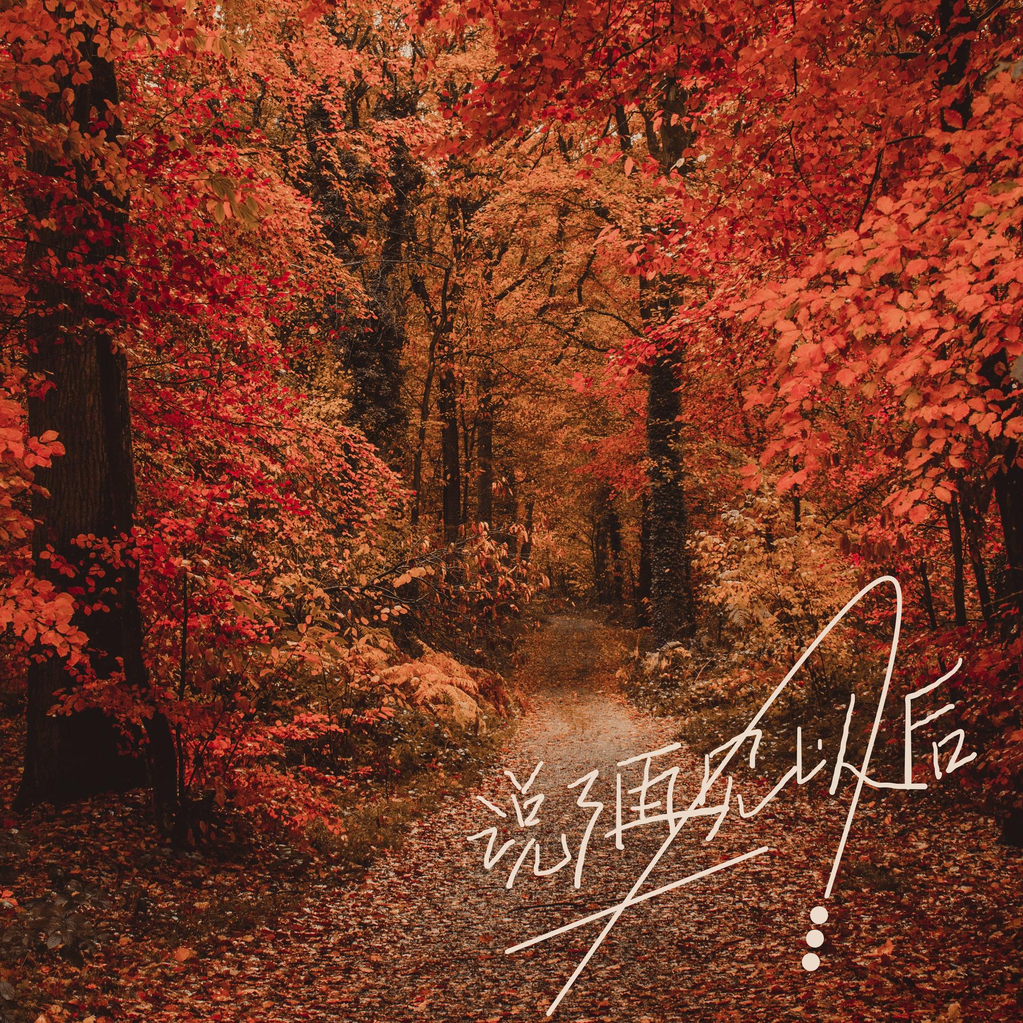 说了再见以后（翻自 鱼丁糸）