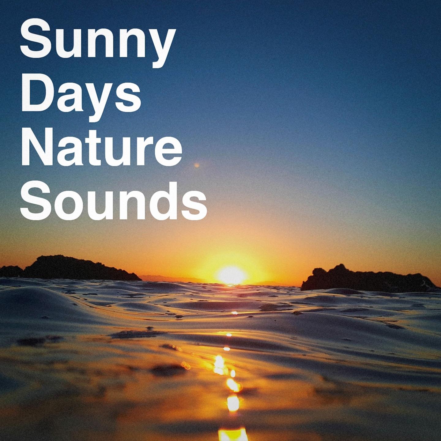 Sunny Days Nature Sounds