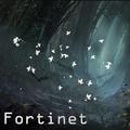 Fortinet