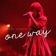 藤田麻衣子 LIVE TOUR 2014-2015 ～one way～