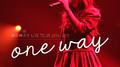 藤田麻衣子 LIVE TOUR 2014-2015 ～one way～专辑