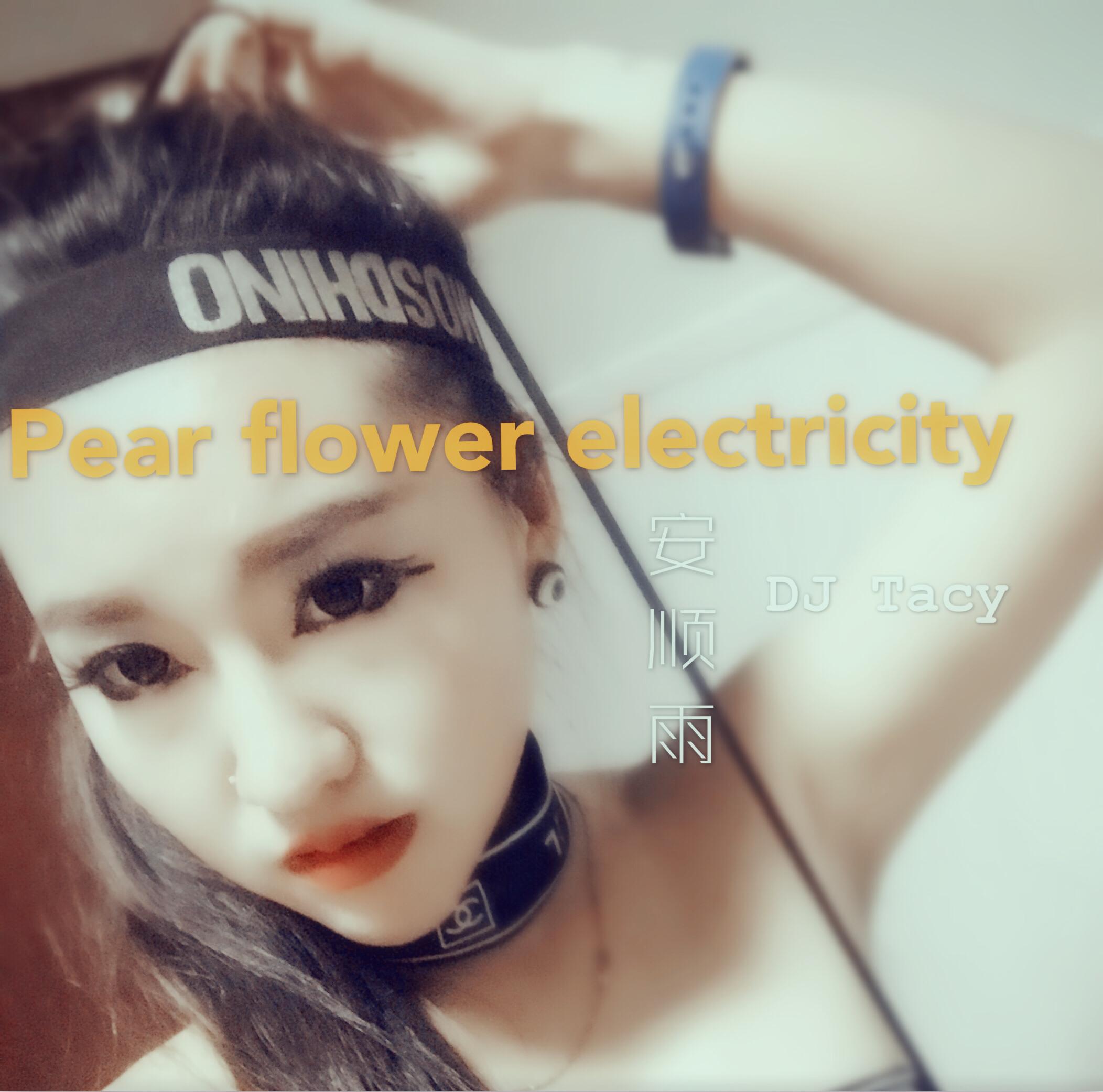 pear flower electricity梨花电专辑