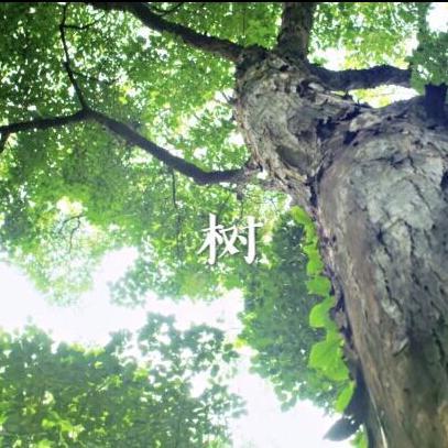 树