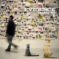 Strangers - Evidence ( Instrumental )