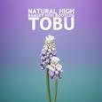 Natural High (RAMS Edit)