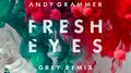 Fresh Eyes (Grey Remix)专辑