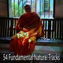 54 Fundamental Natural Tracks专辑