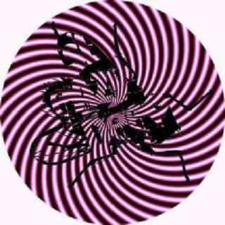 One Night Stand (KANT Remix)