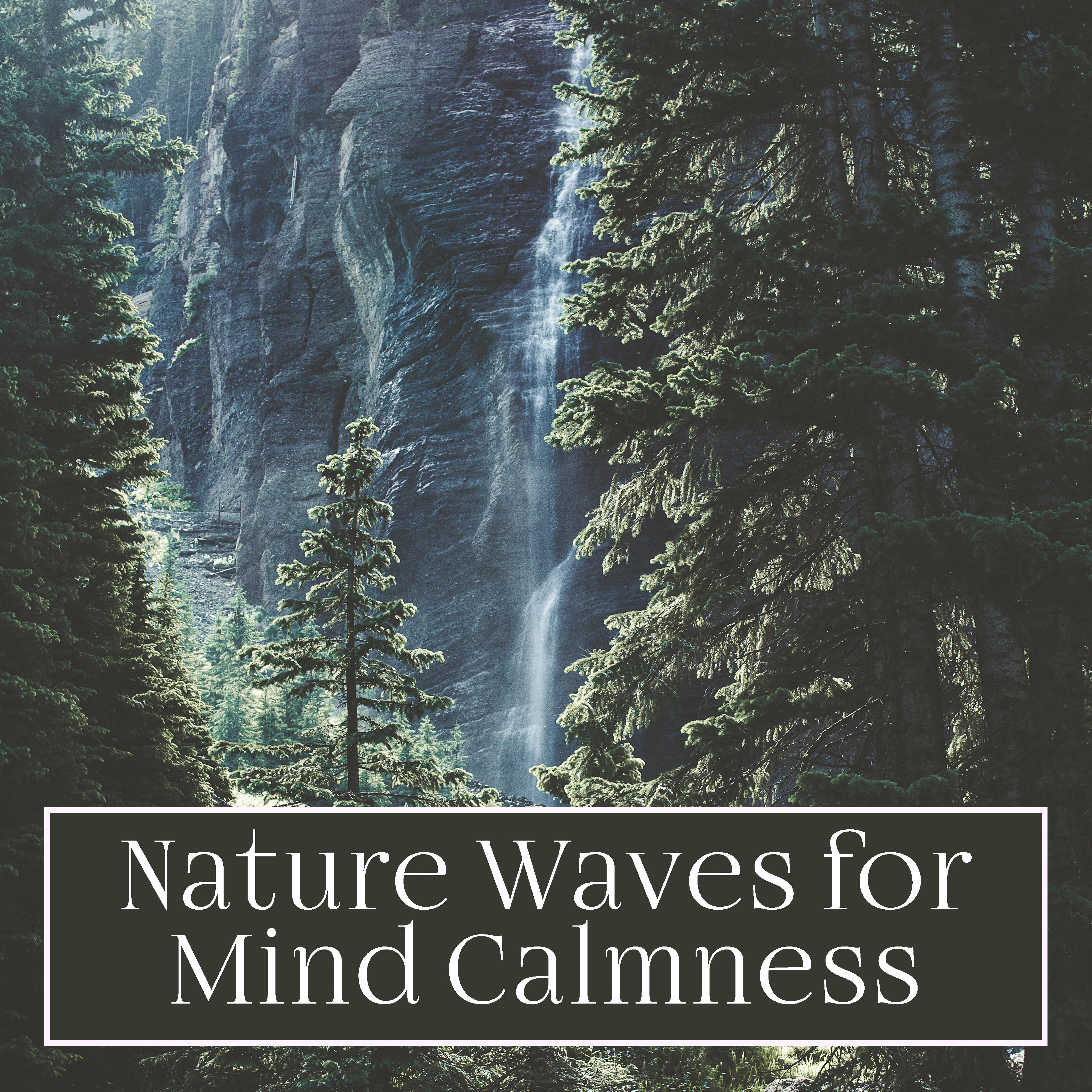 Nature Waves for Mind Calmness – New Age Melodies for Stress Relief, Inner Calmness, Mind Peace, Soo专辑