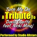 Turn Me On (A Tribute to David Guetta Feat. Nicki Minaj) - Single